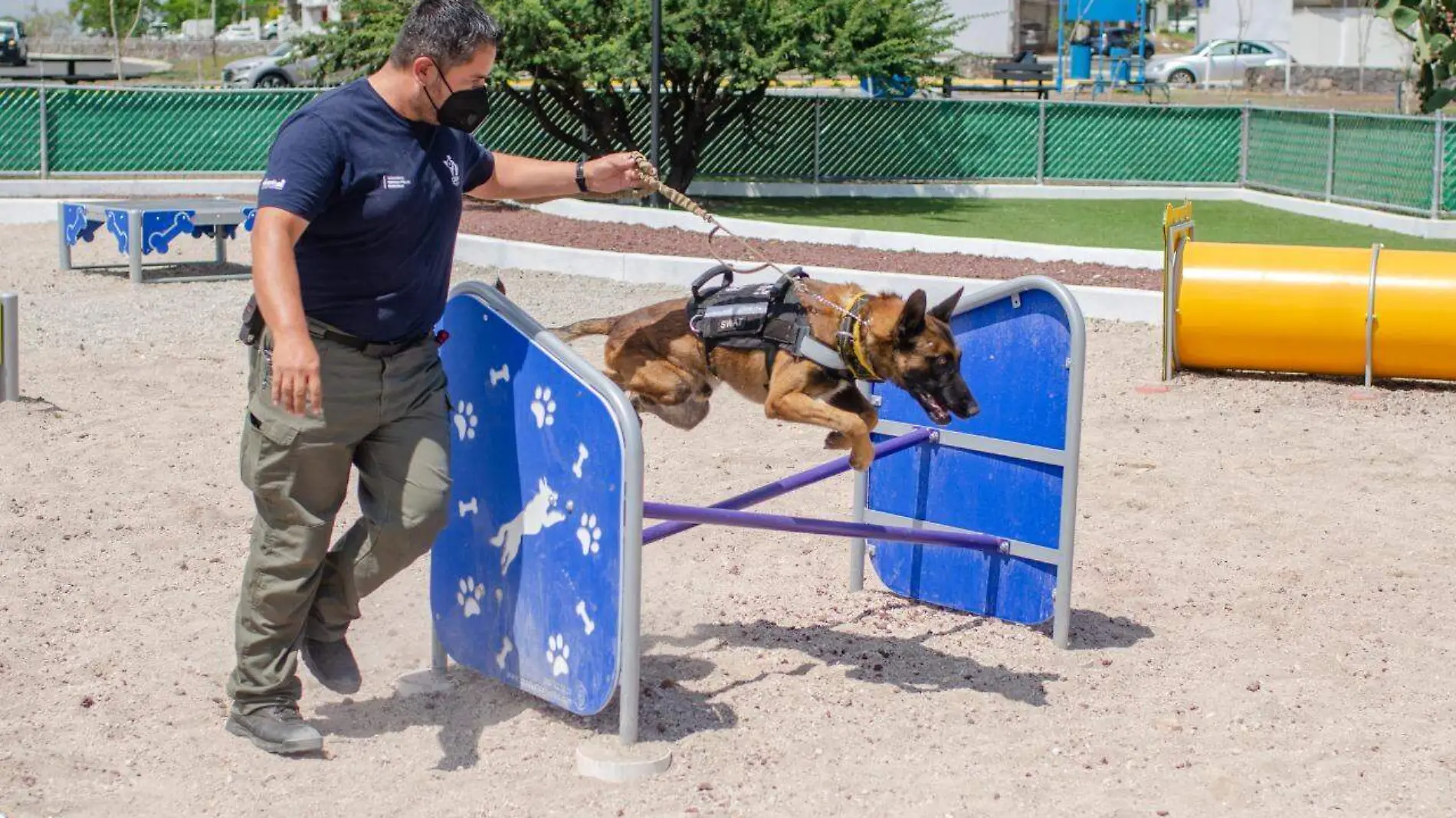 Parque recreativo para perros